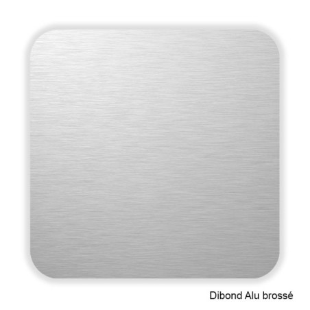 Fond Dibond Aluminium pour pictogramme