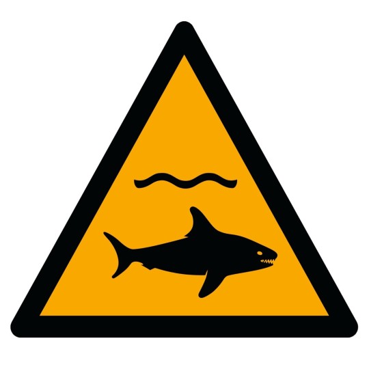 Pictogramme Danger requins - W054 - ISO 7010