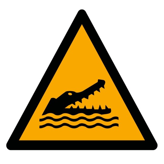 Pictogramme Danger présence d'alligators, caïmans ou crocodiles - W067 - ISO 7010